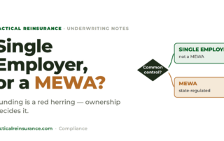 Single Employer, or a MEWA? — Tactical Reinsurance underwriting note on controlled-group and MEWA status.