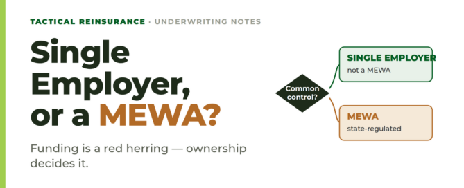 Single Employer, or a MEWA? — Tactical Reinsurance underwriting note on controlled-group and MEWA status.